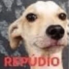Pra qualquer ocasião ou não 30