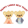 Lunar New Year Cubby 10