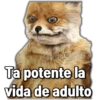 🚫Memes que no viste6🚫 13