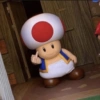 Toad 14