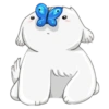 Cute dog 9