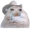 Gatos sad 2 13