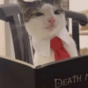 MIAU 17