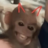 Monitos bonitos🐵✨ 14