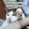 Bobby Kucing Prabowo 🐱 5