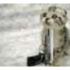 Cats (1/4) 6