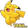 Pikachu 14