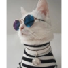 Conteúdo Aleatório De Gato 22