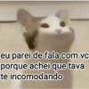 GATINHOS REAGINDO 9