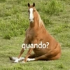 Pra qualquer ocasião ou não 9