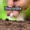 Necessárias ✨ 9