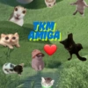 AMIGA