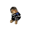 Teamboy Pack StiKers 7