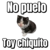 Gatos sad 2 30