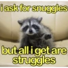 🐼🗑🦝 Raccoons l 🦝 🗑 🐼  16