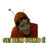 Chapolinho Sincero 14