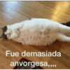Pensamientos 3😅🤣 9