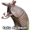tatu do bem