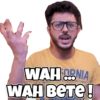 CarryMinati Stickers 14