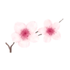Floral 3