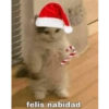 Memes Navideños🎄🎅 15