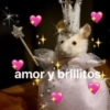 🐾🐚🌻Animals 🌻🐚🐾 28