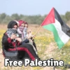 Stop war Palestina  12