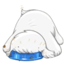 Cute dog 16