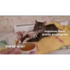 Solo gatos 9