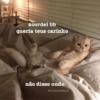 Cantadas +18 29