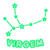 - VIRGEM