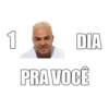 BOM DIA BOA NOITE 2 13
