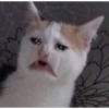 Meme triste 16