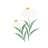 Floral 2