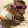 Monitos bonitos🐵✨ 10