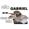 Sapecagens 19