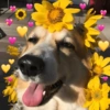 💖💞Love Reactions 3💞💖 11
