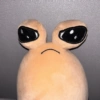 Pou 9