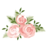 Floral 17