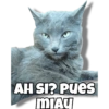 Michis 6