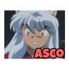 Inuyasha 28