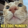 JÁ PERTURBOU O GRUPO HJ? 🤣 11