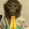MICOS 6