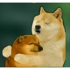 Doge hindi 2 5