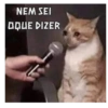 NEM SEI OQUE DIZER