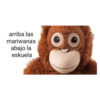 Jaja q grasios 😂👍 10