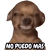 NO PUEDO MÁS