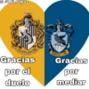 Harry Potter 17