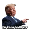 Donald Trump 10