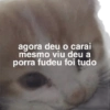 Cats (1/4) 30